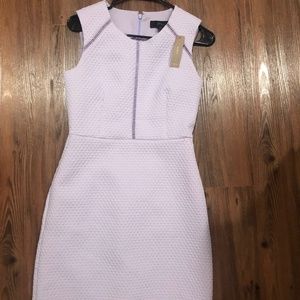 J.Crew Dress